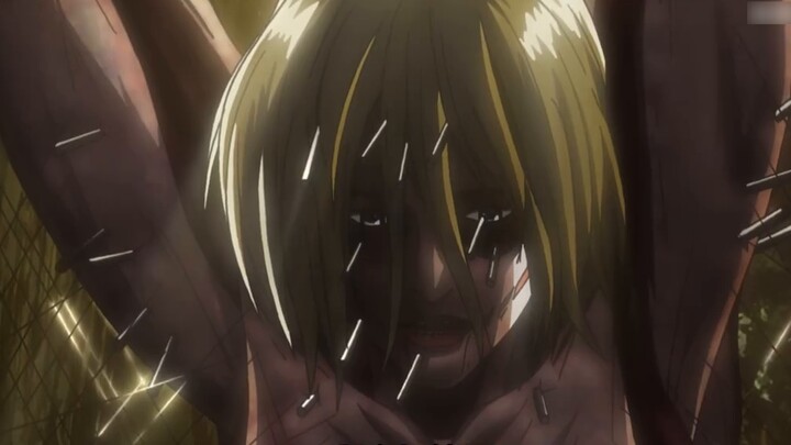 Many years later, when facing the Colossal Titan, Hanji will remember the distant afternoon when she