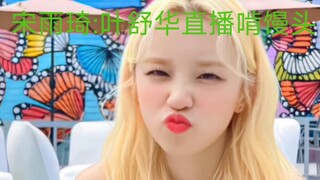 宋雨琦:叶舒华直播啃馒头