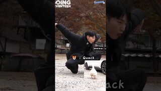 seventeen members talking to goose in 21 seconds 🦢 #GOING_SVT
