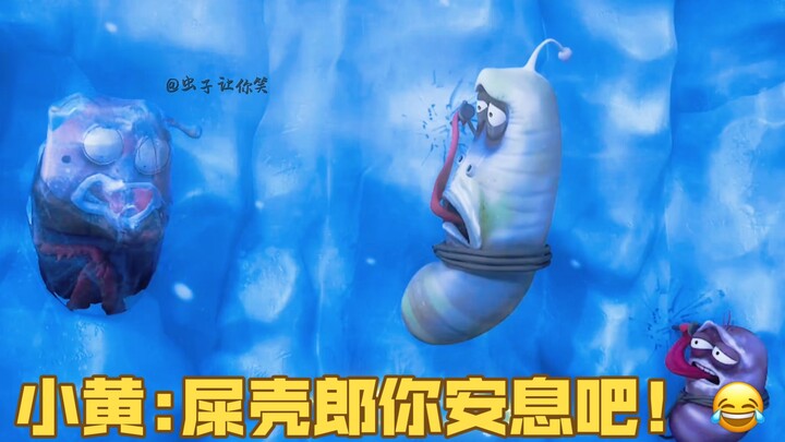 屎壳郎:你俩要把我往死里整啊！好不容易爬上来的！