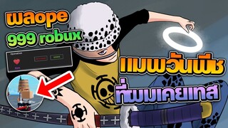 Project New World : แมพวันพีชของผรั่ง ที่ผมเคยเทส เปิดจริงแล้ว! เลย จัด ผลope ไป999Robux!?