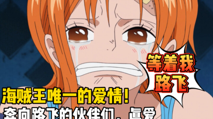 [Segera tonton One Piece 80] Dua tahun lalu, aksi mengharukan para partner, dan endingnya begitu ind