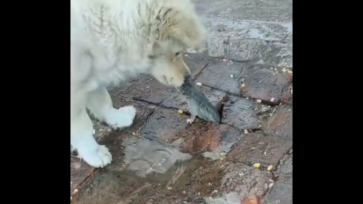 นี่แหละคือสิ่งที่เรียกว่ามืออาชีพ