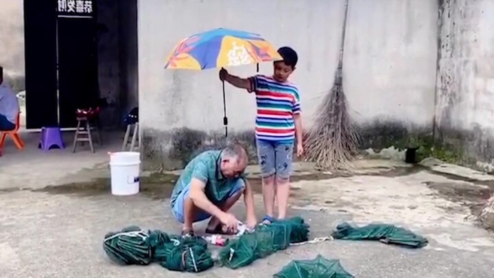 Mawar senja berusia sepuluh tahun tampak malas, ayunan berusia enam puluh tahun goyang-goyang.