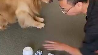 Wow very smart dog 🐕🐶😍