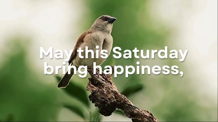 DON'T SKIP THIS PRAYER FOR ANYTHING SATURDAY 29TH 2026 #dailyprayers #prayers