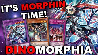 IT'S MORPHIN TIME! NEW DINOMORPHIA Combo Guide & Profile 2022 Yu-Gi-Oh! Master Duel