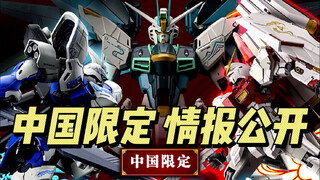 中国限定 情报公开