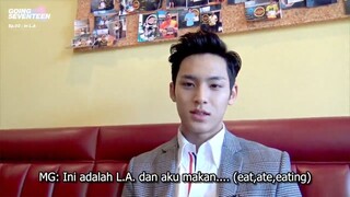 GOING SEVENTEEN 2017 E2 INDO SUB