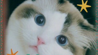 shipan
