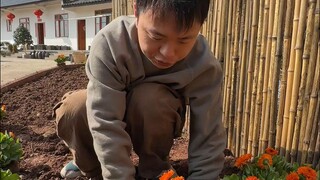 我妈催了我很久的花园，是时候有个交代了！