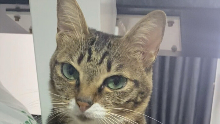 มุมมอง: พอรูปร่างของหมีเซ็กซี่สุดๆ ก็จะได้…