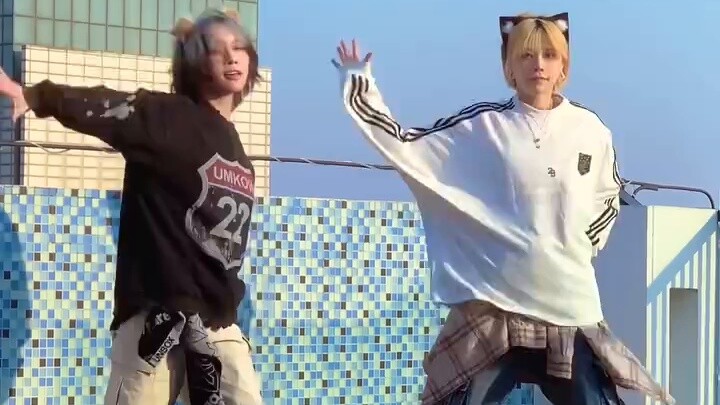 39! Cat and Dog Twins!