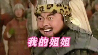 《我的姐姐3.0》