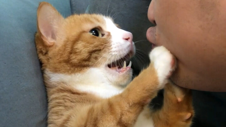 الحب القسري*⁂((✪⥎✪))⁂*