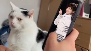 Maomao and Wang Xinling were silent