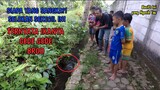 EDAN BROO!! Selokan kecil ikanya GEDE-GEDE || Rame Banget Bareng Bocil Di Desa