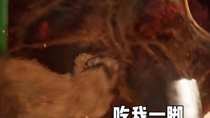 أداء هوانغ فنغ داشينغ المميز رائع جدًا