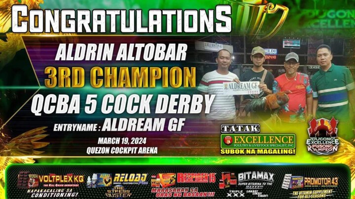 QCBA 5 COCK DERBY (BATTLE OF THE CHAMPION) 5TH FIGHT W ( CHAMPION)