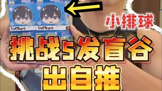 这绝对是小排球手感最好的谷子！