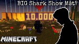 BIG Shark Show Mặt? Q&A Ăn Mừng 10.000 Subscibe 🎉🎉