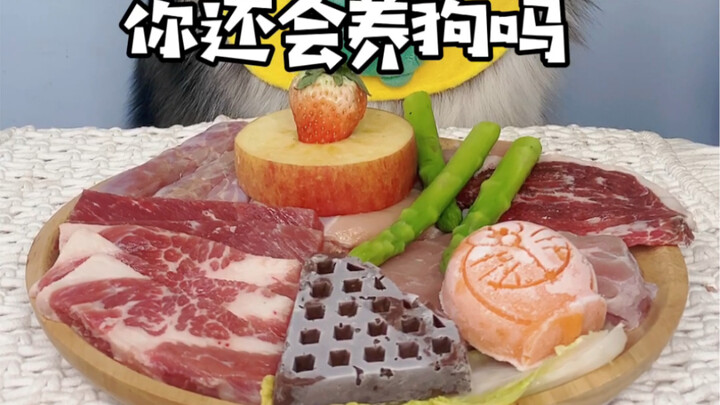 Rata-rata 25 yuan per kali makan, apakah kamu masih ingin memelihara anjing?