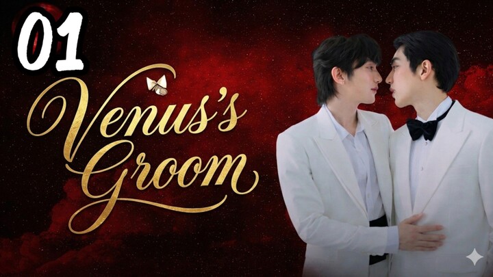 Vᴇɴᴜs's Gʀᴏᴏᴍ | Eᴘɪsᴏᴅᴇ 1 | Eɴɢ sᴜʙ