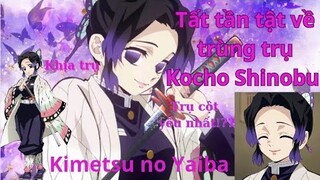 Kimetsu No Yaiba|Tất Tần Tật Về Trùng Trụ Kochou Shinobu|Hồ Sơ Nhân Vật #40|GSANIME.