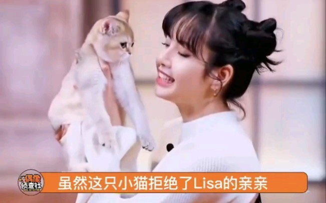 أنا فقط أقول إنه لا يمكن لأي إنسان أو قطة أن ترفض ليزا.