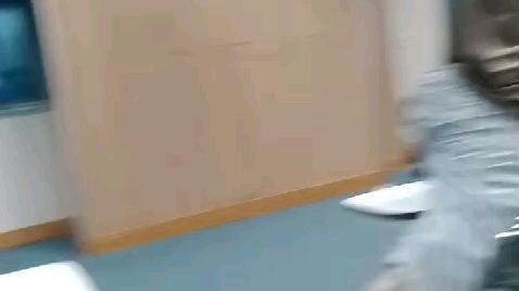 kegiatan tes kerja 2024
