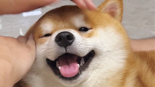 Reluctantly deleted some cute videos