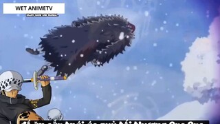 Top 8 Người Vô Tình _Ăn_ Trái Ác Quỷ trong One Piece #18 7