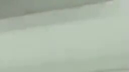 Jessi - Cold Blooded (with SWF) [YGX & Moana] TikTok Dance Challenge!