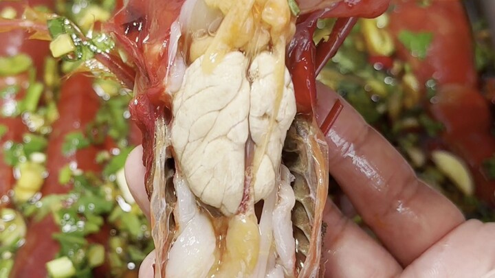 Ternyata Pak Zhang kalah dari makhluk ini—nggak heran namanya Udang Setan Merah!