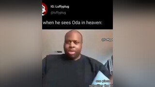 animememes anime meme onepiece oda luffy luffymemes weeb animetiktok fyp