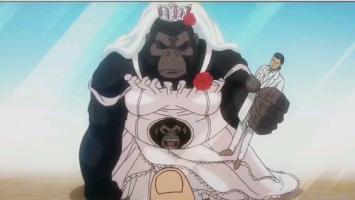 『Gintama』-bendera gorila