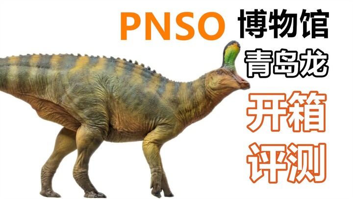 【恐龙模型】PNSO1/35科学复原青岛龙开箱评测！