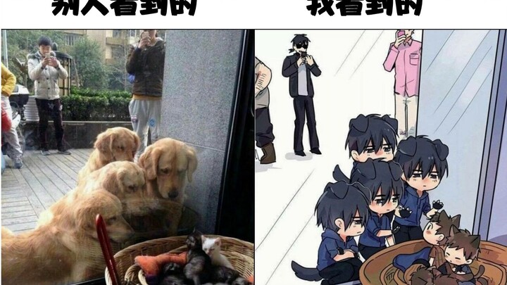 The content is just too real—reporting it! Σ(ﾟдﾟ;) #Hilarious & Silly Internet Pics [Part 25]