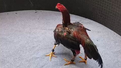 pakhoy line lokhtep...