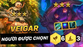 ĐỘI HÌNH VEIGAR - NGƯỜI ĐƯỢC CHỌN CỦA PHIÊN BẢN 11.5 ĐTCL | TFT 4.5