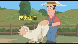 逆天动物合集（一次看到爽）