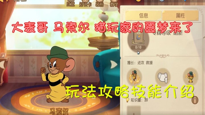 【猫和老鼠手游】共研服新角色 大表哥马索尔 闪亮登场 猫玩家的噩梦来了~