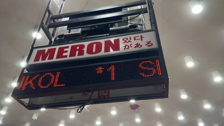 MY BOSTON WHITE 2x winner BBCA