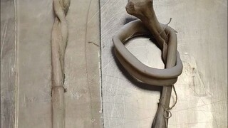 Jika kalsium dalam tulang benar-benar dihilangkan, tulang kita akan menjadi selembut tali.