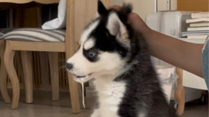 Hari pertama keluar dari rumah sakit, langsung dapat beberapa sinus besar.