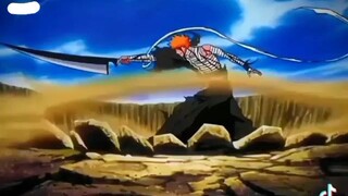 Ichigo said bankai for the first  time