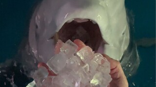 These two little guys don’t even have watches—yet they manage to hit the exact time every single tim