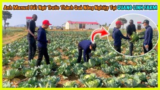 Công Giáp || Anh Manuel Bất Ngờ Trước Thành Quả Quá Nhanh Của Quang Linh Farm ? Chỉ Với 3 Tháng ?