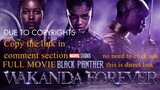 Black Panther: Wakanda Forever ~~ Full movie