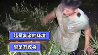 越是复杂的环境越是有惊喜！